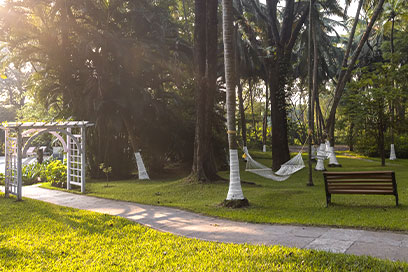 Experiencing the beauty of nature by relaxing in a hammock | Kairali-The Ayurvedic Healing Village