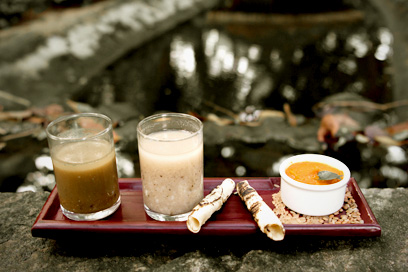 Made with the organic ingredients from the herbal garden | Kairali-The Ayurvedic Healing Village