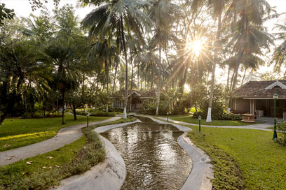 A perfect shade to enjoy the fresh air of Kerala | Kairali-The Ayurvedic Healing Village
