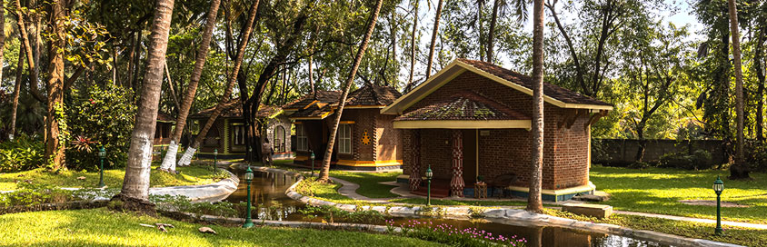 The warmth and natural beauty around the Deluxe Villa | Kairali-The Ayurvedic Healing Village