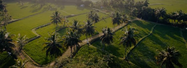Luftaufnahme von Reisfeldern und Kokospalmen in der ländlichen Umgebung des Krankenhauses in Kerala