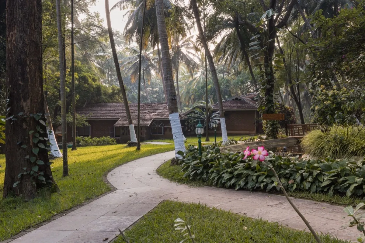 A paved path winding past tile-roofed villas, palms and flowering shrubs in the garden