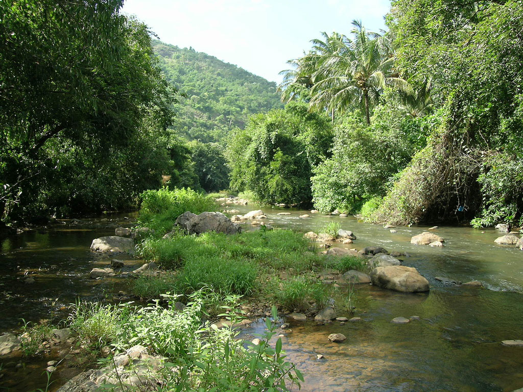 Attappadi (Mountain Valley)