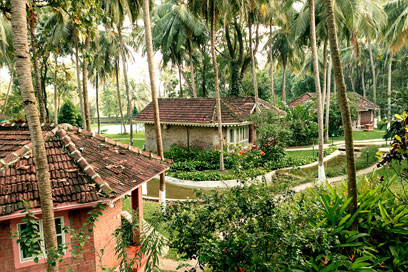 This scenic view offers the most refreshing and rejuvenating experience | Kairali-The Ayurvedic Healing Village